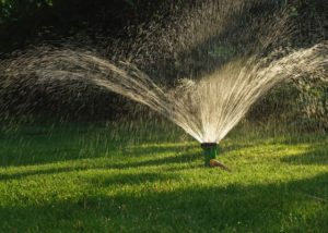 O solo irrigado oferece água na quantidade adequada à produção das pastagens.